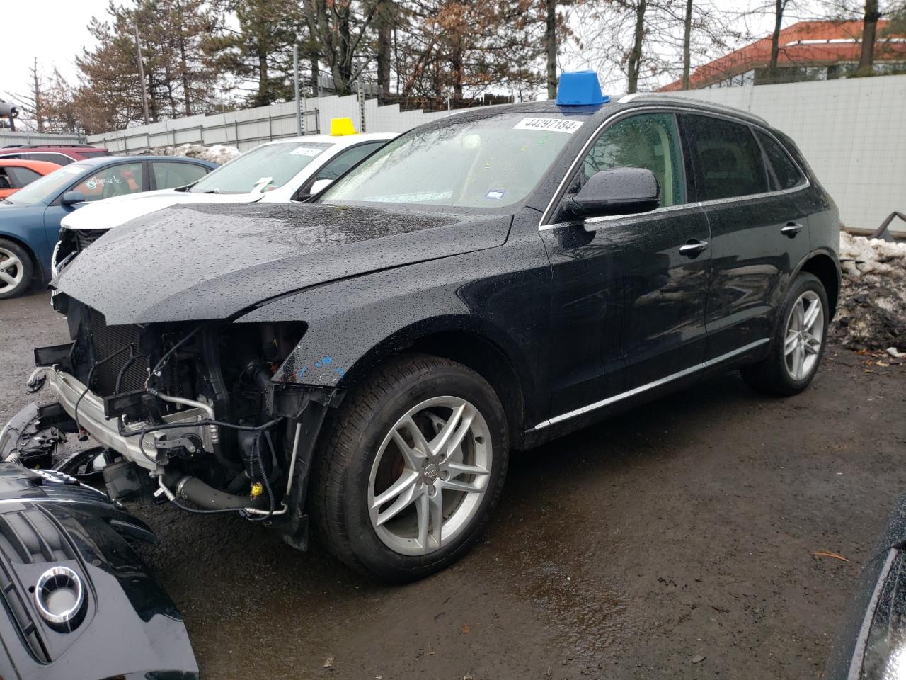 WA1L2AFP3HA042910  audi q5 2016 IMG 0