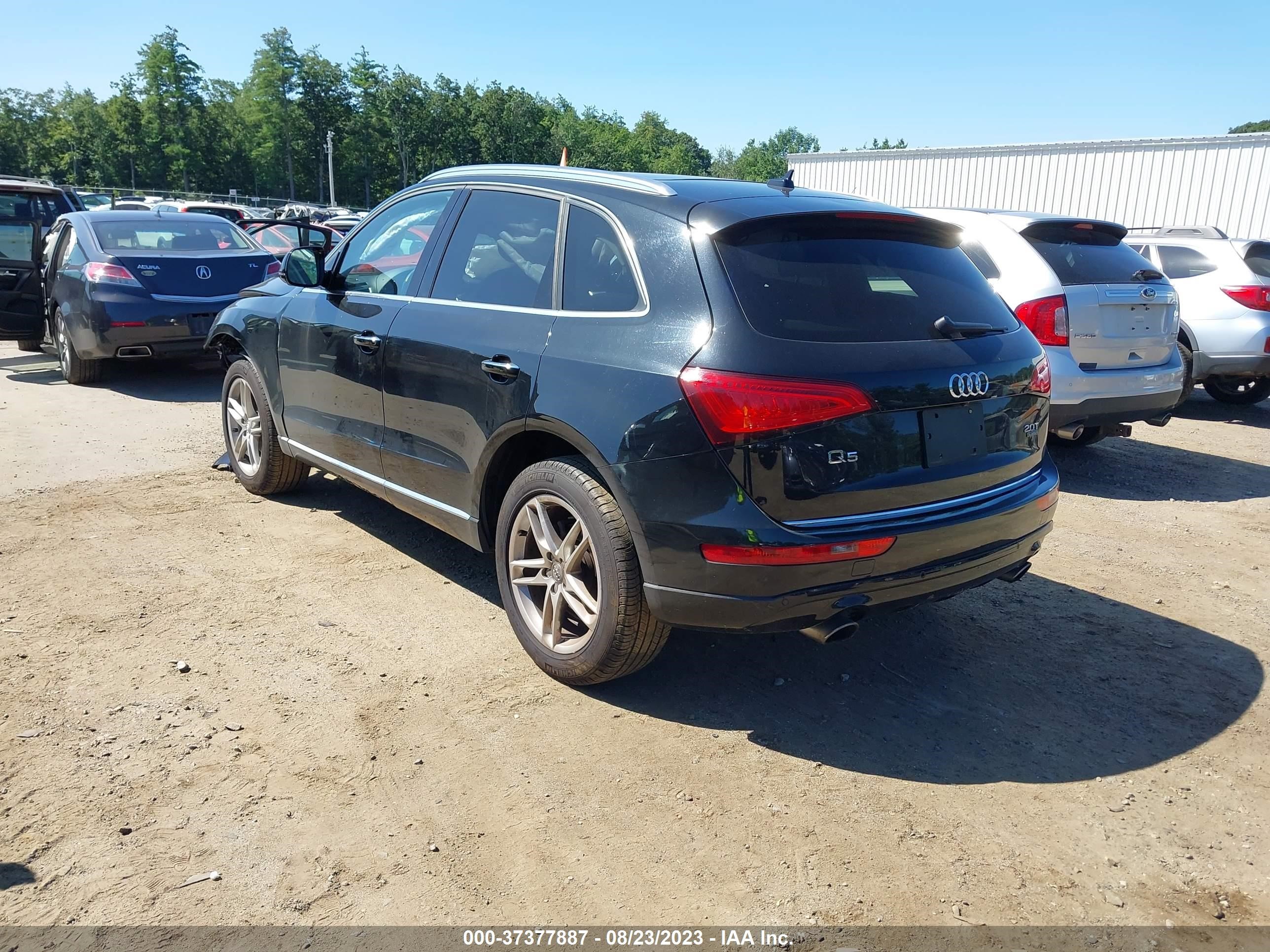 WA1L2AFP5GA085563  audi q5 2016 IMG 2