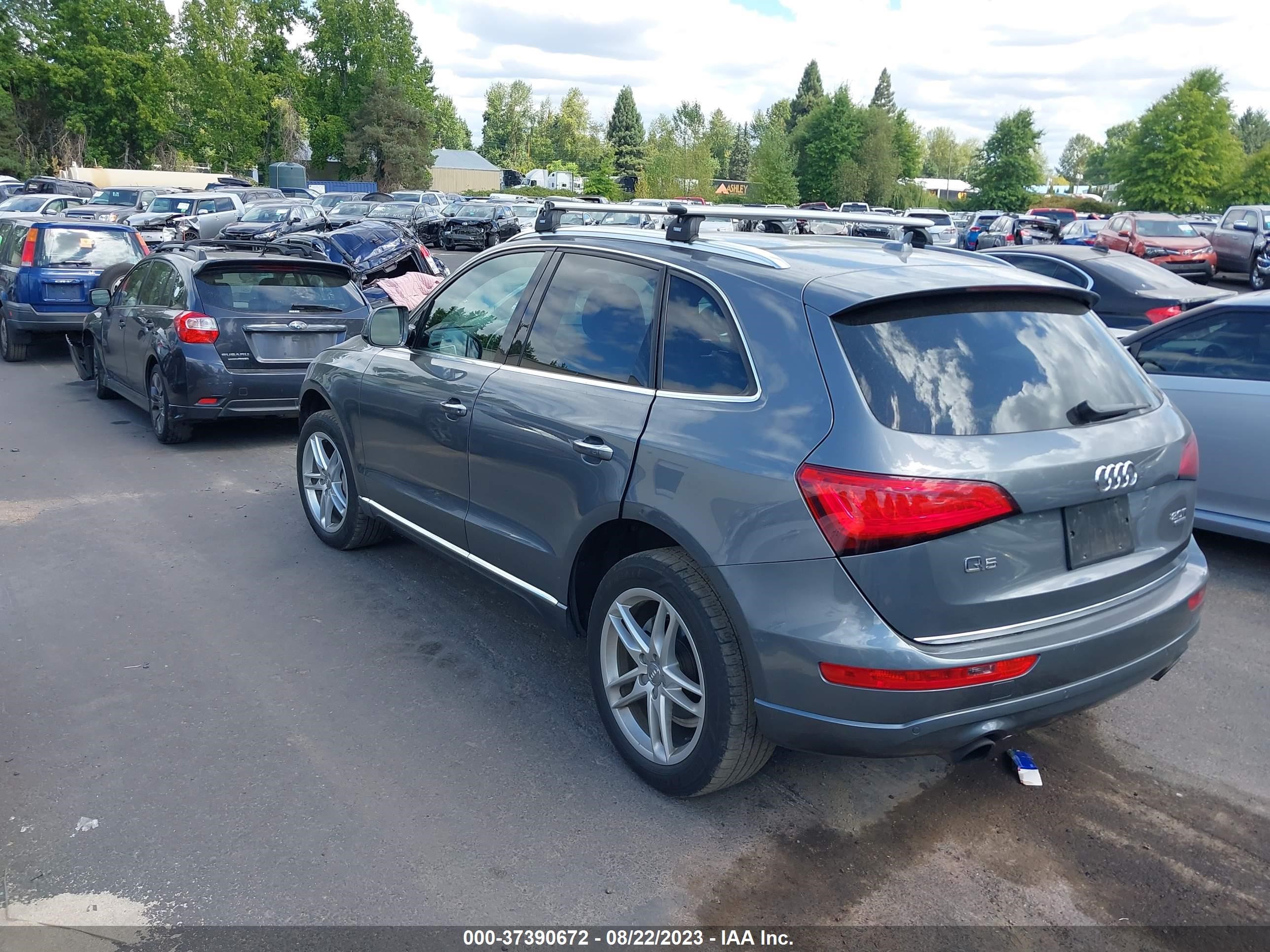 WA1L2AFP5GA124846  audi q5 2016 IMG 2