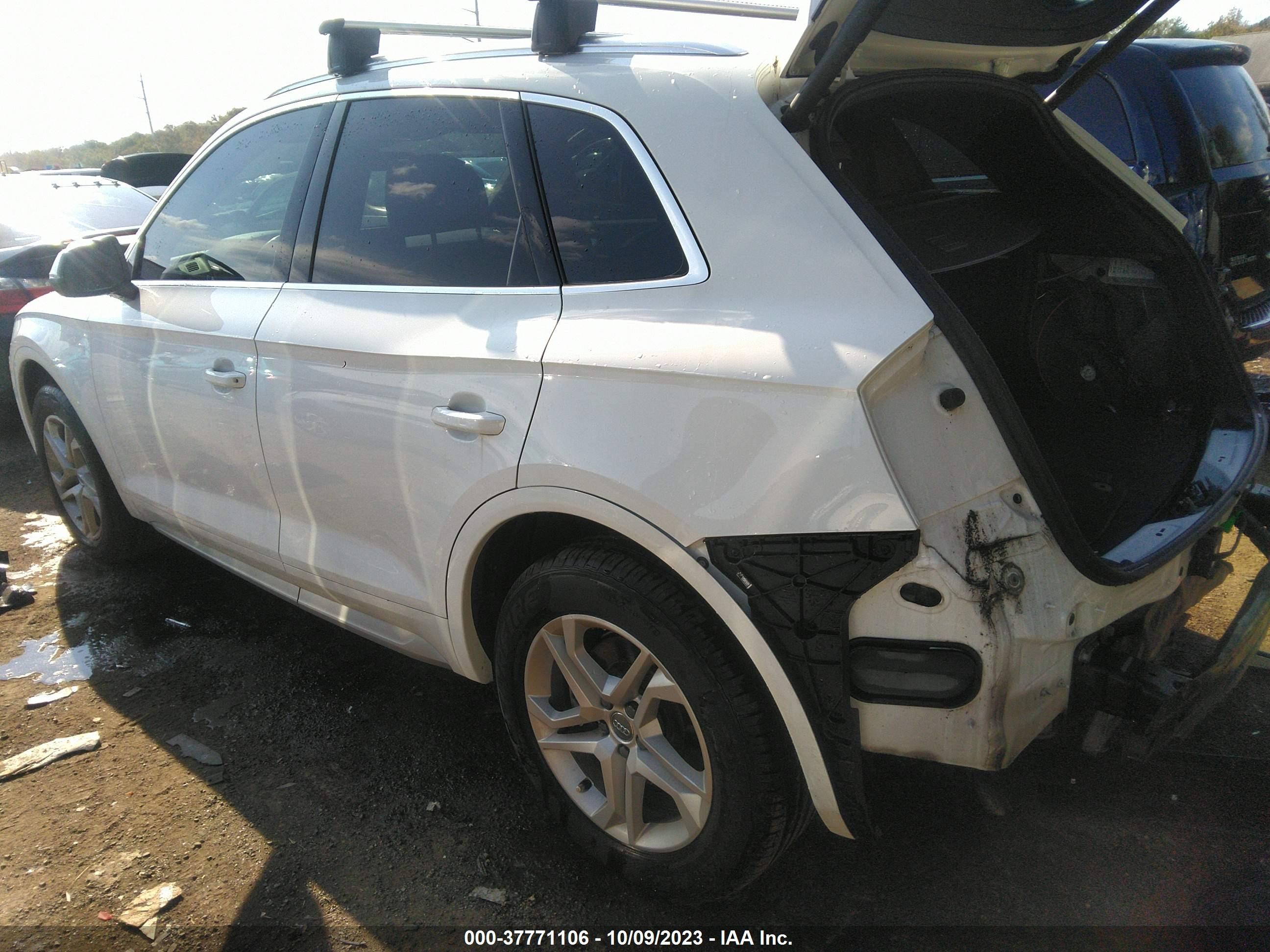 WA1ANAFY5K2018262  audi q5 2019 IMG 2