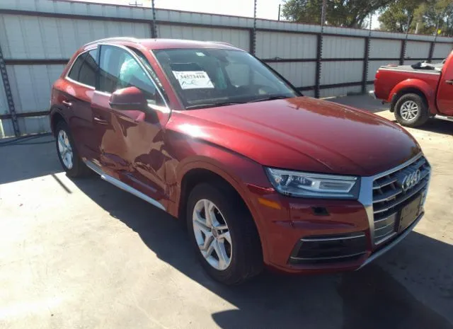 WA1ANAFYXK2122195  audi q5 2019 IMG 0