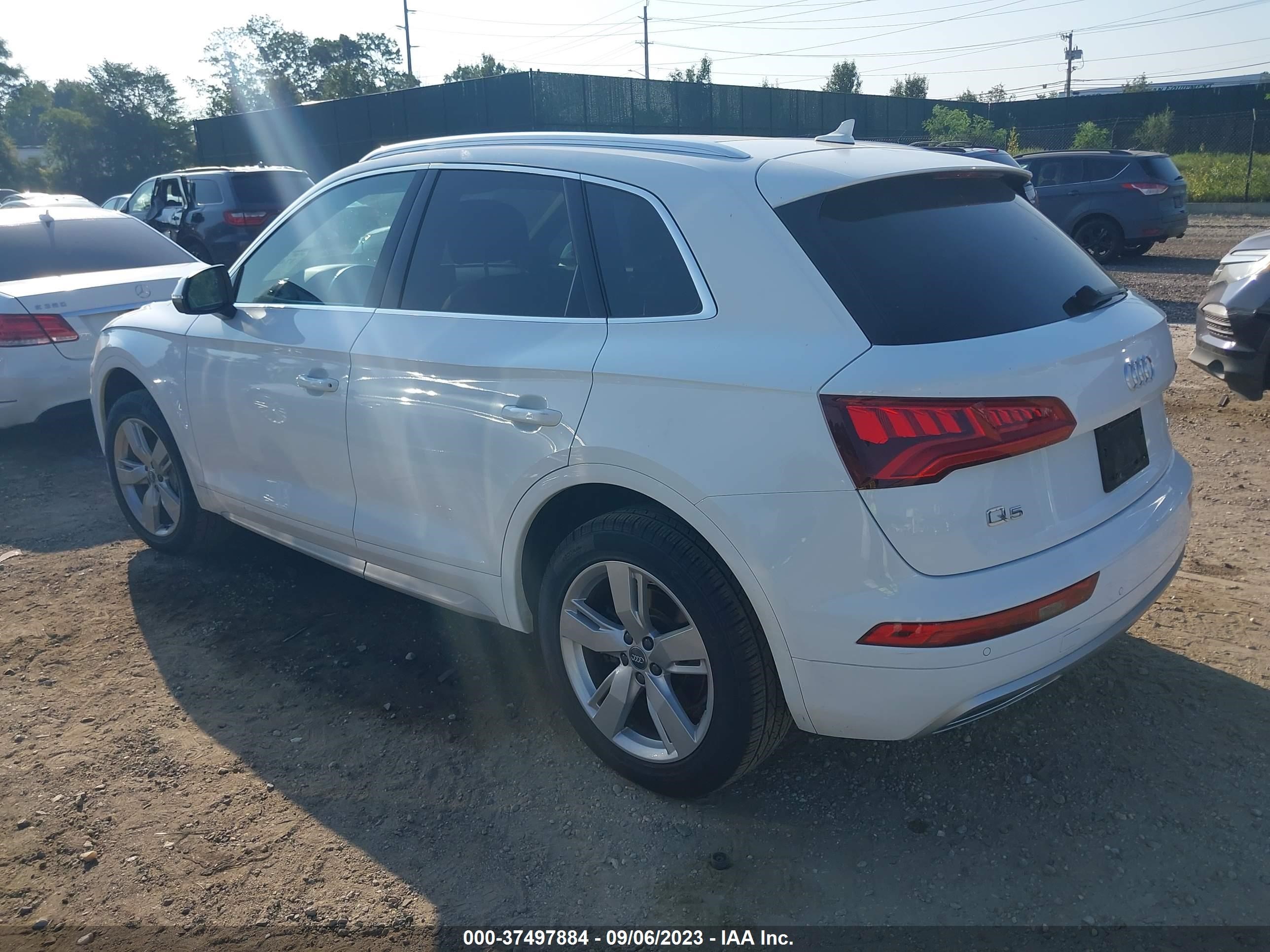 WA1BNAFY2K2123569  audi q5 2019 IMG 2