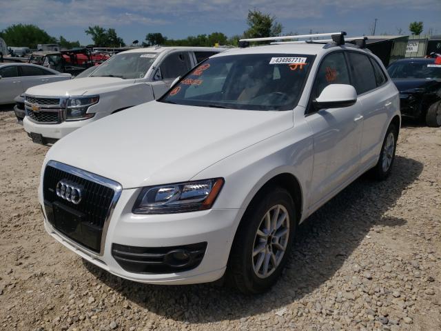 WA1CKAFP4AA085223  audi q5 premium 2010 IMG 1