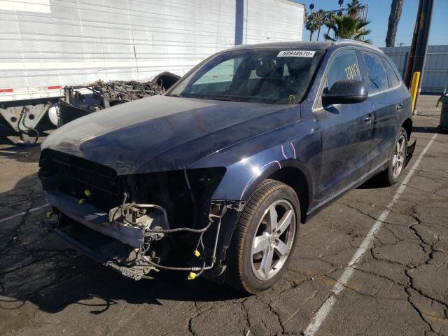 WA1LKAFP5AA088373  audi q5 premium 2010 IMG 1