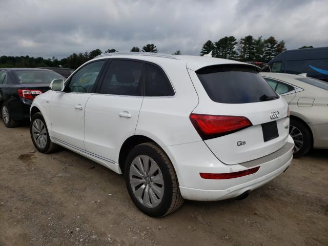 WA1C8AFP0DA002549  audi q5 premium 2013 IMG 2