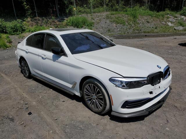 WBAJR7C06LWW65434  bmw 5 series 2019 IMG 3