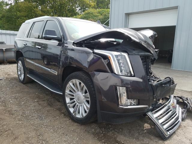 1GYS4PKJ2FR623470  cadillac  2015 IMG 0