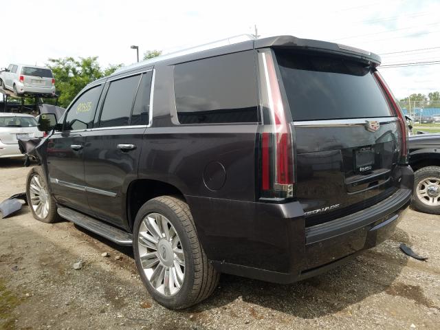 1GYS4PKJ2FR623470  cadillac escalade p 2015 IMG 2