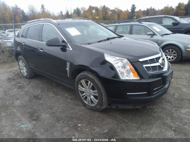 3GYFNDEY2BS529022  cadillac srx 2011 IMG 0