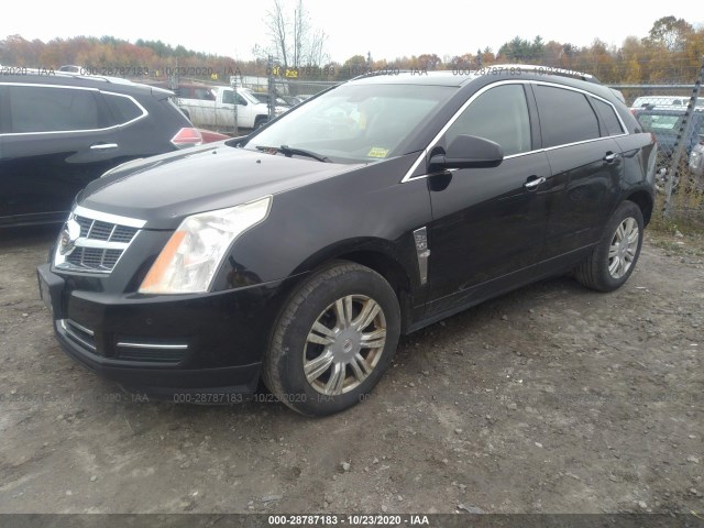 3GYFNDEY2BS529022  cadillac srx 2011 IMG 1