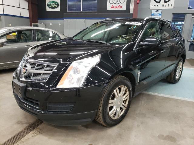 3GYFNAEY4BS619240  cadillac srx 2011 IMG 1