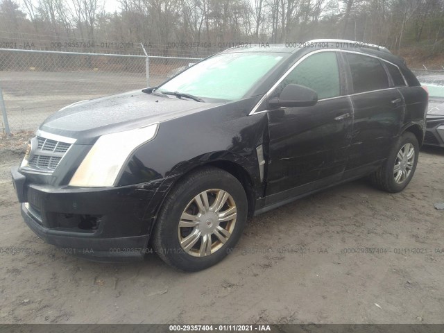 3GYFNAEY7BS643872  cadillac srx 2011 IMG 1