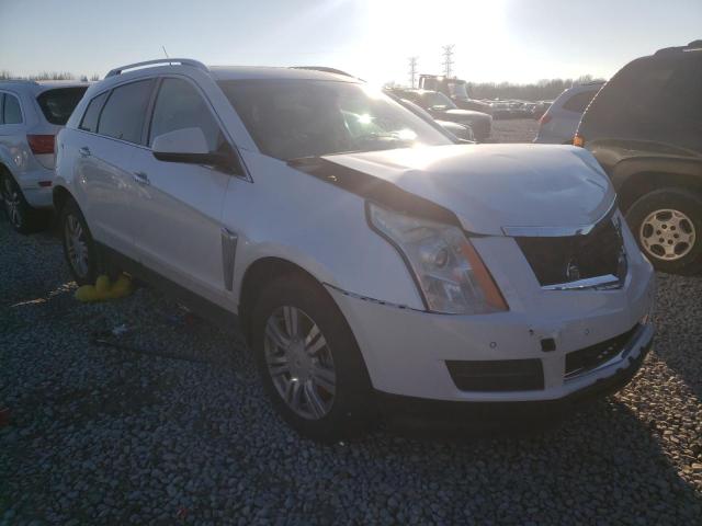 3GYFNBE30ES666053  cadillac srx 2014 IMG 0