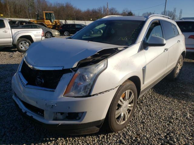 3GYFNBE30ES666053  cadillac srx 2014 IMG 1