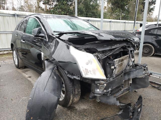 3GYFNAE31GS558294  cadillac srx 2016 IMG 0