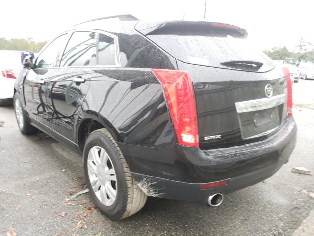 3GYFNAE31GS558294  cadillac srx 2016 IMG 2