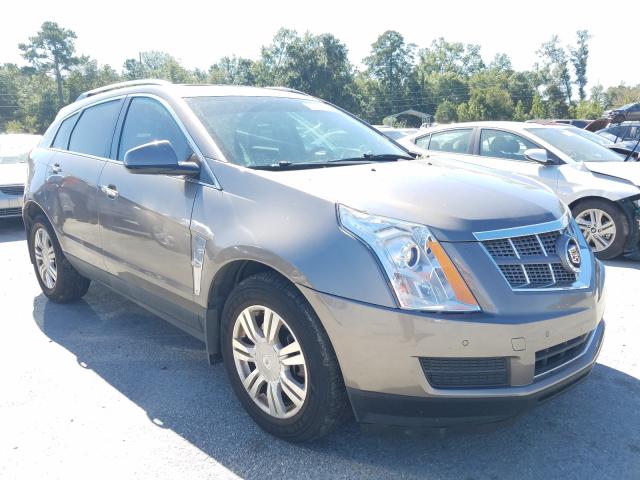 3GYFNAEY0BS628632  cadillac srx luxury 2011 IMG 0