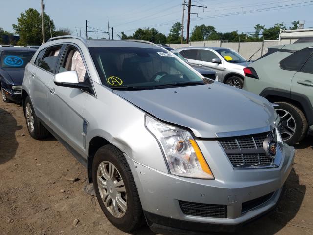 3GYFNAEY8BS512658  cadillac srx luxury 2011 IMG 0