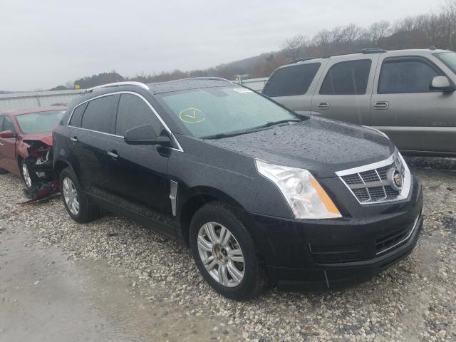 3GYFNAEY9BS572433  cadillac srx luxury 2011 IMG 0