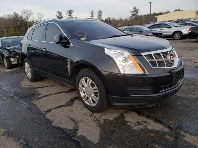 3GYFNDEY2BS670978  cadillac srx luxury 2011 IMG 0