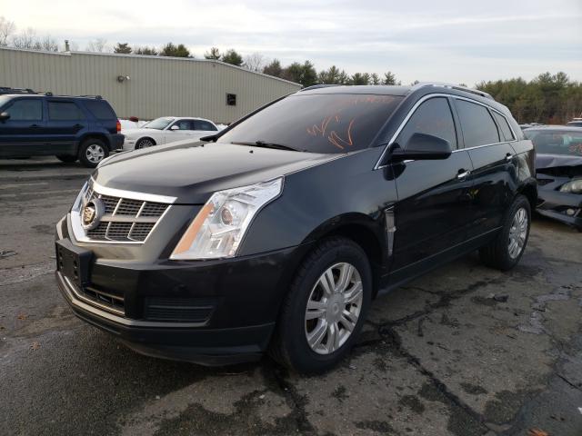 3GYFNDEY2BS670978  cadillac srx luxury 2011 IMG 1