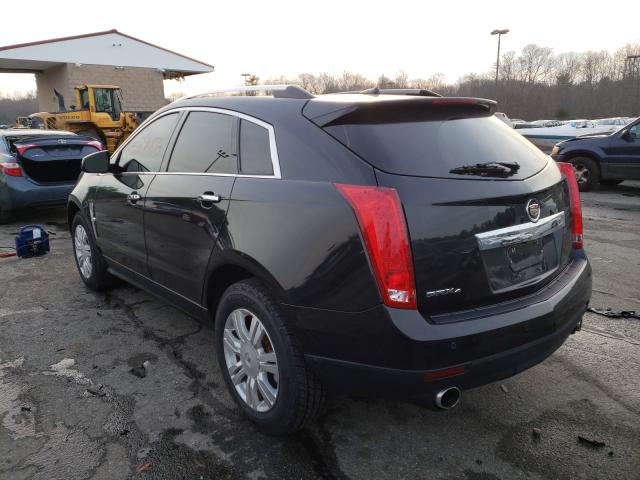 3GYFNDEY2BS670978  cadillac srx luxury 2011 IMG 2