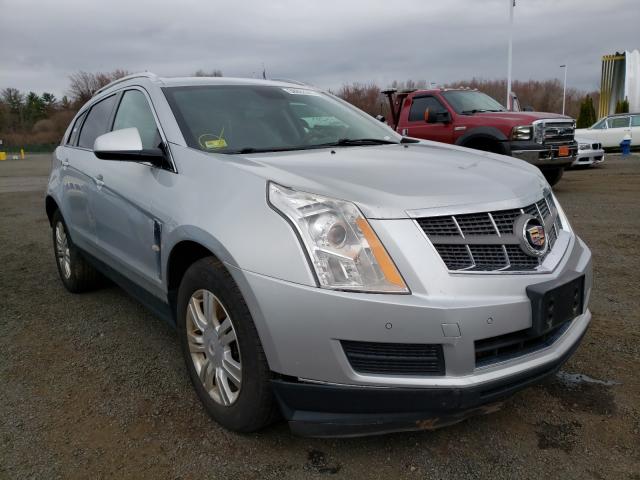 3GYFNDEY3BS668222  cadillac srx luxury 2011 IMG 0