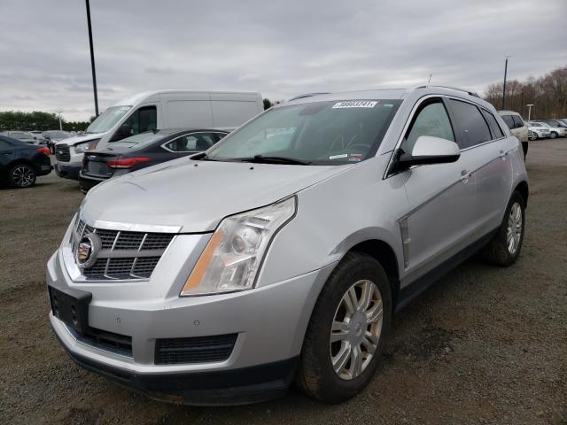 3GYFNDEY3BS668222  cadillac srx luxury 2011 IMG 1