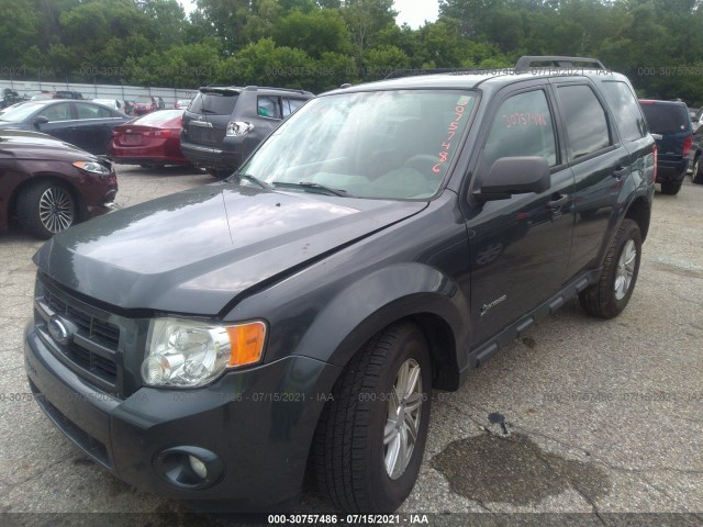 1FMCU5K35AKA47113  ford escape 2010 IMG 1