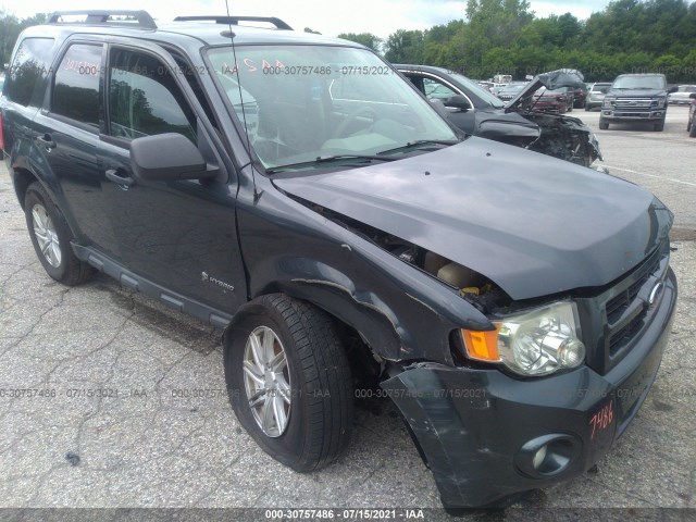 1FMCU5K35AKA47113  ford escape 2010 IMG 5