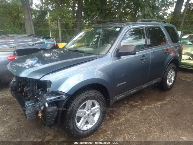 1FMCU4K35BKA43039  ford escape 2011 IMG 1