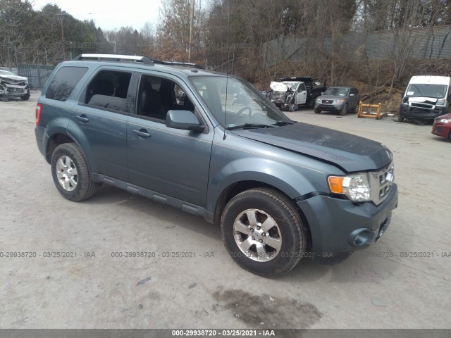 1FMCU9EG2BKC13904  ford escape 2011 IMG 0