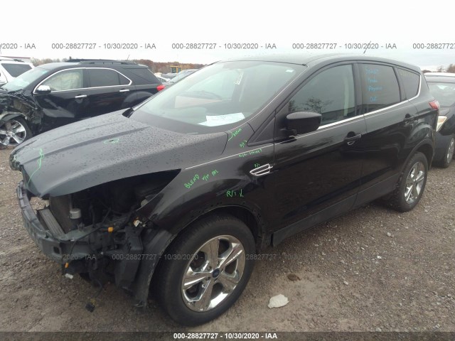 1FMCU9G96DUB86504  ford escape 2013 IMG 1