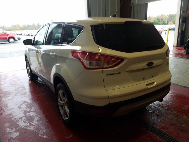 1FMCU9GX4DUA61595  ford escape 2012 IMG 2