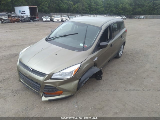 1FMCU0F73DUC58318  ford escape 2013 IMG 5