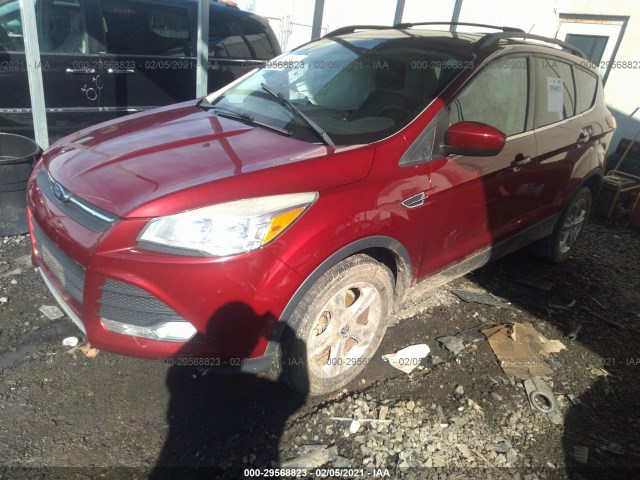 1FMCU0GXXDUC42423  ford escape 2013 IMG 1