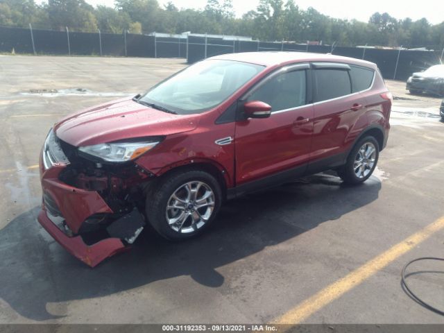 1FMCU9H94DUC60646  ford escape 2013 IMG 1