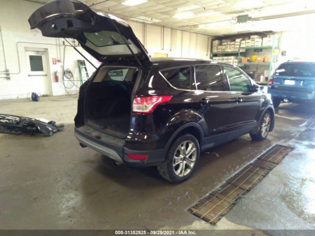 1FMCU9H94DUD56227  ford escape 2013 IMG 3