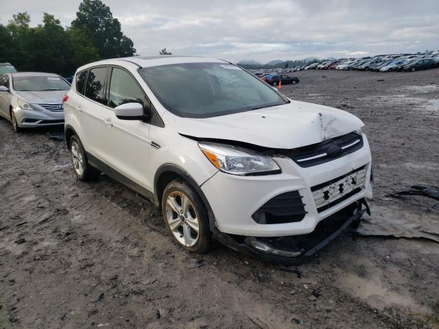 1FMCU0G71FUA38614  ford escape 2014 IMG 0