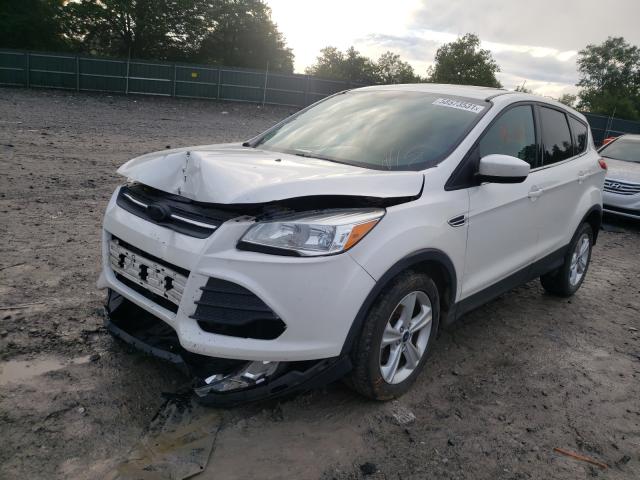 1FMCU0G71FUA38614  ford escape 2014 IMG 1