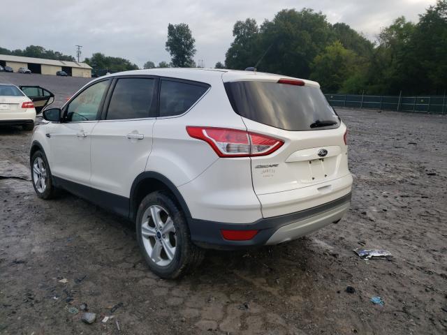 1FMCU0G71FUA38614  ford escape 2014 IMG 2