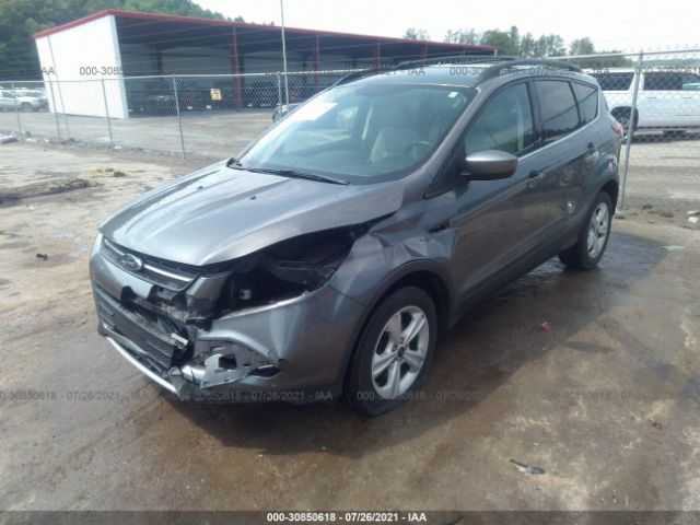 1FMCU0G91EUB64519  ford escape 2014 IMG 1