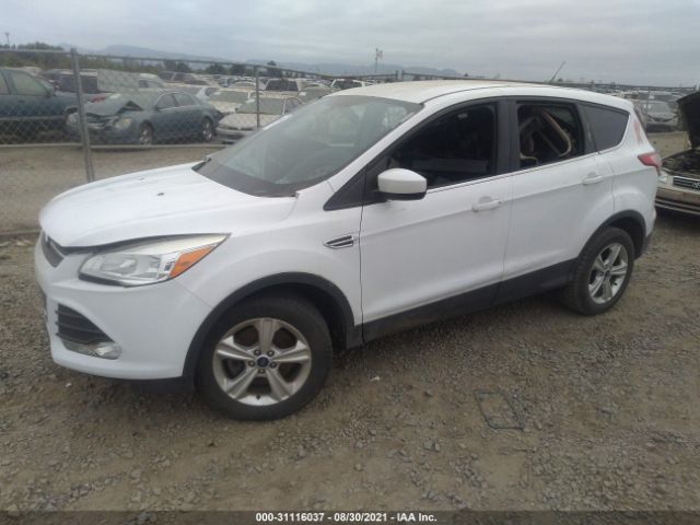 1FMCU0G94EUD52306  ford escape 2014 IMG 1