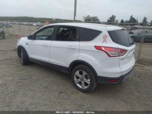 1FMCU0G94EUD52306  ford escape 2014 IMG 2