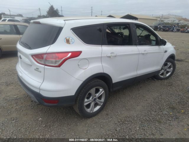 1FMCU0G94EUD52306  ford escape 2014 IMG 3