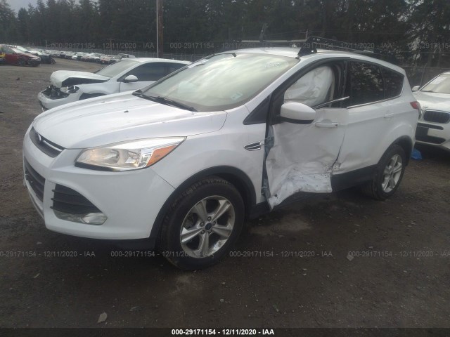 1FMCU0G97EUD38528  ford escape 2014 IMG 1