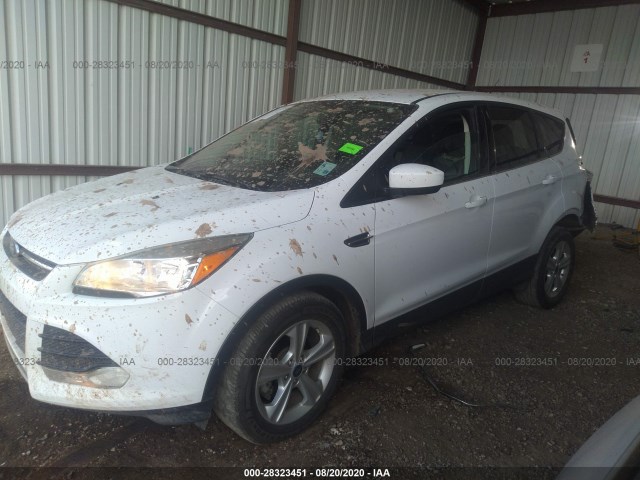 1FMCU0GX1EUE33942  ford escape 2014 IMG 1