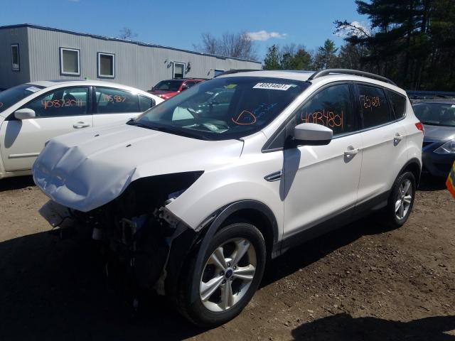 1FMCU9G90FUA30011  ford escape 2014 IMG 1