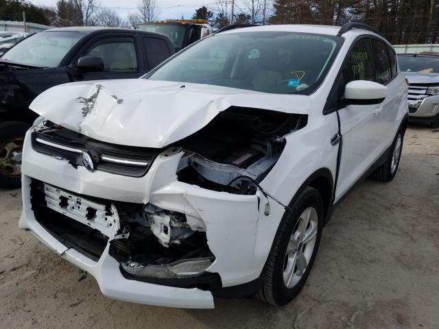 1FMCU9G91EUE45756  ford escape 2014 IMG 1