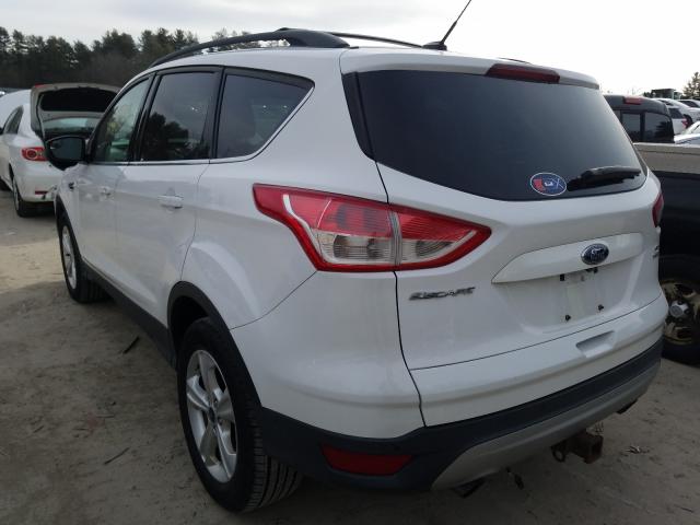 1FMCU9G91EUE45756  ford escape 2014 IMG 2